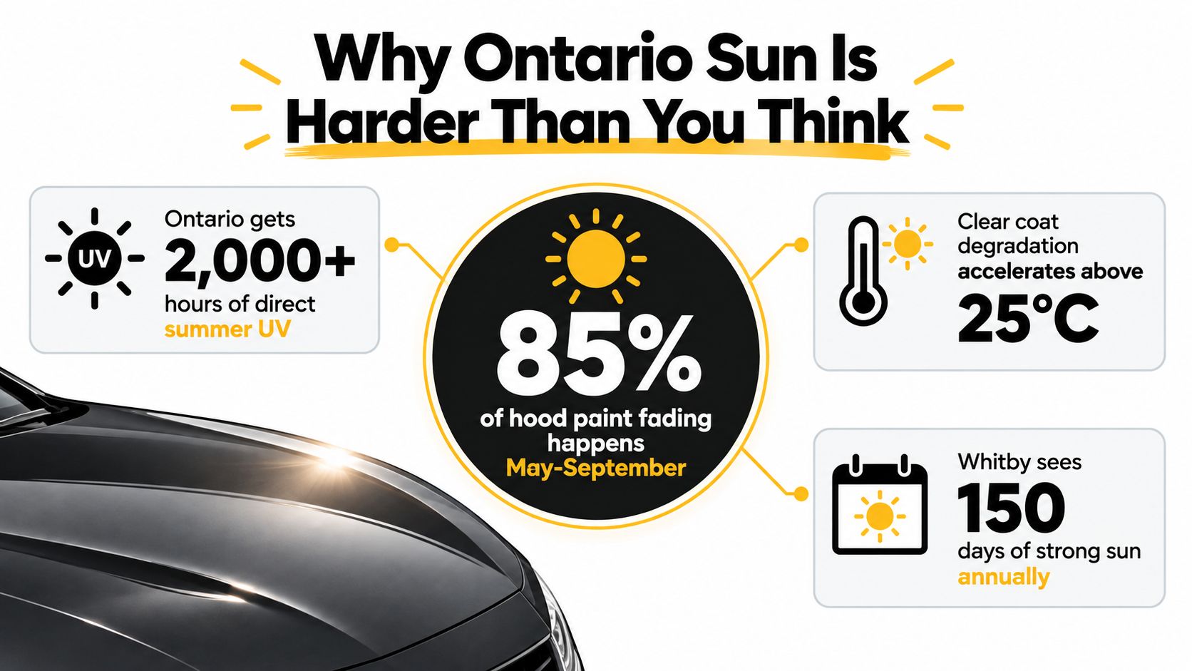 How to Protect Car Paint from Sun: A Canadian Driver's Guide 15 An infographic detailing how Ontario's intense summer sun causes significant car paint fading and damage.